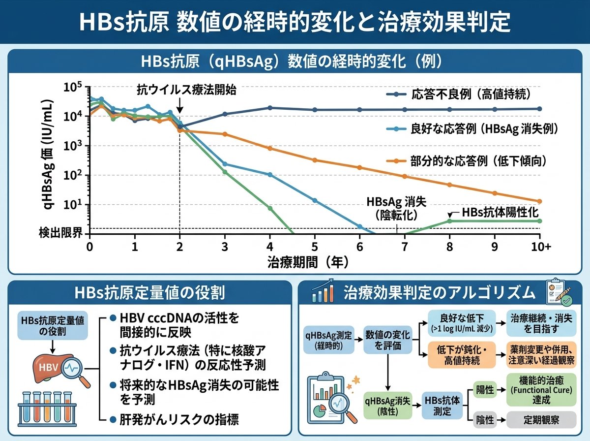HBs抗原 数値 の経時的変化と治療効果判定