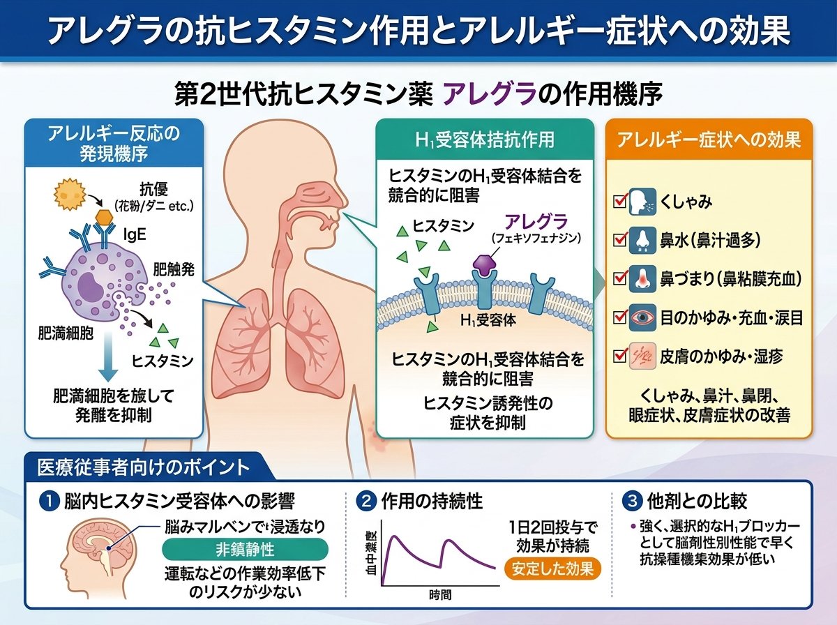 アレグラの抗ヒスタミン作用とアレルギー症状への効果