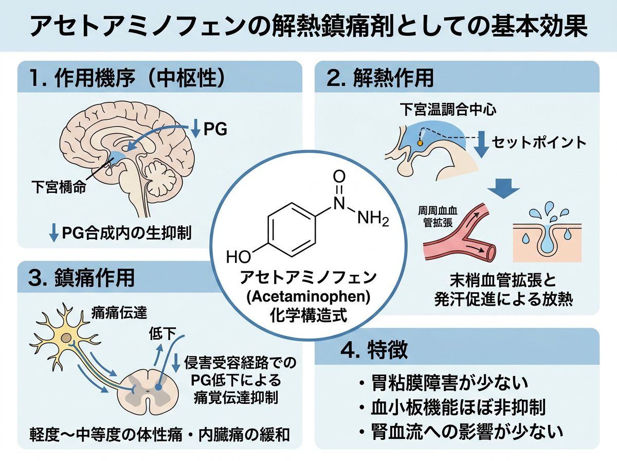 アセトアミノフェンの解熱鎮痛剤としての基本効果