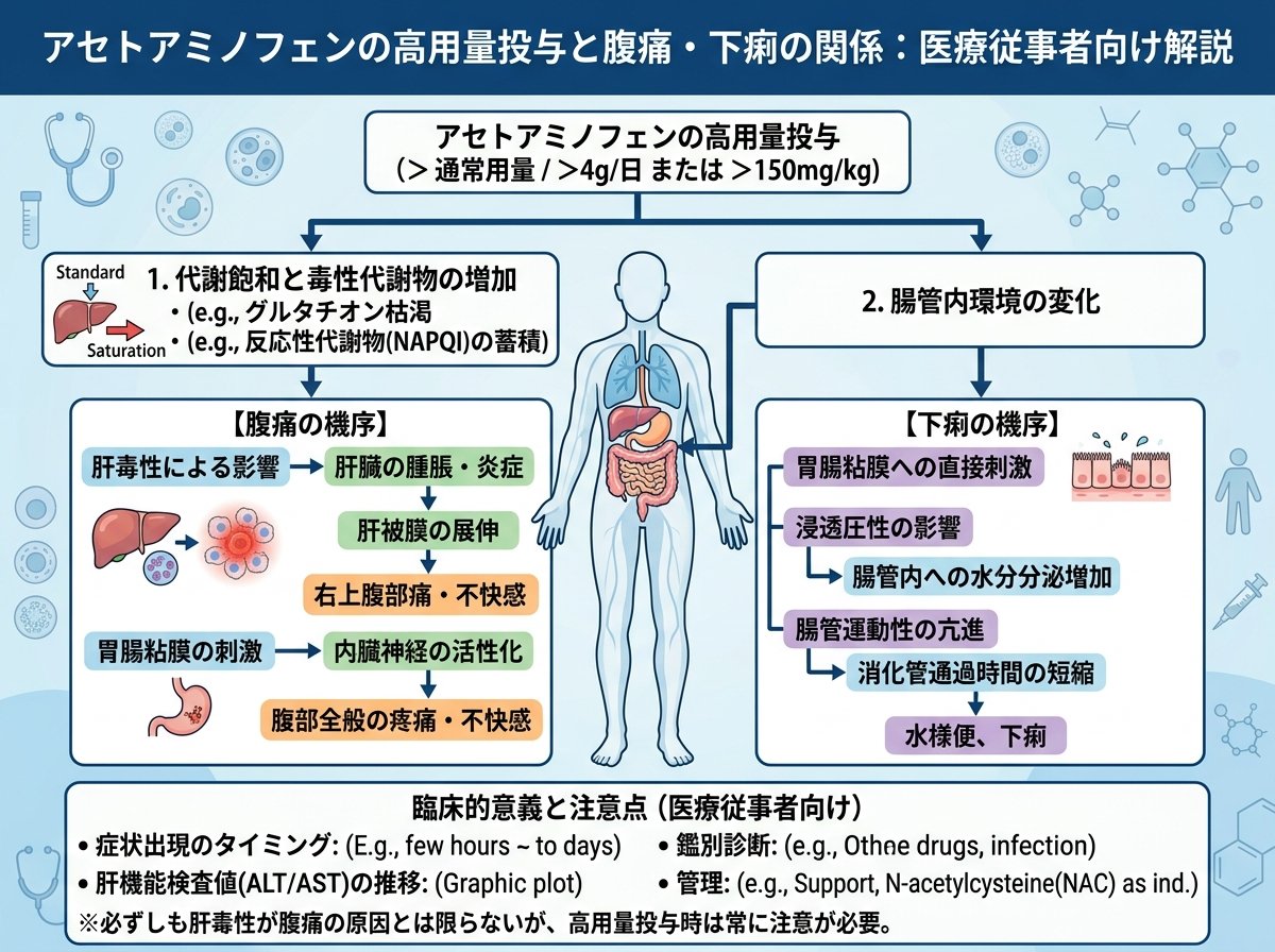 アセトアミノフェンの高用量投与と腹痛・下痢の関係