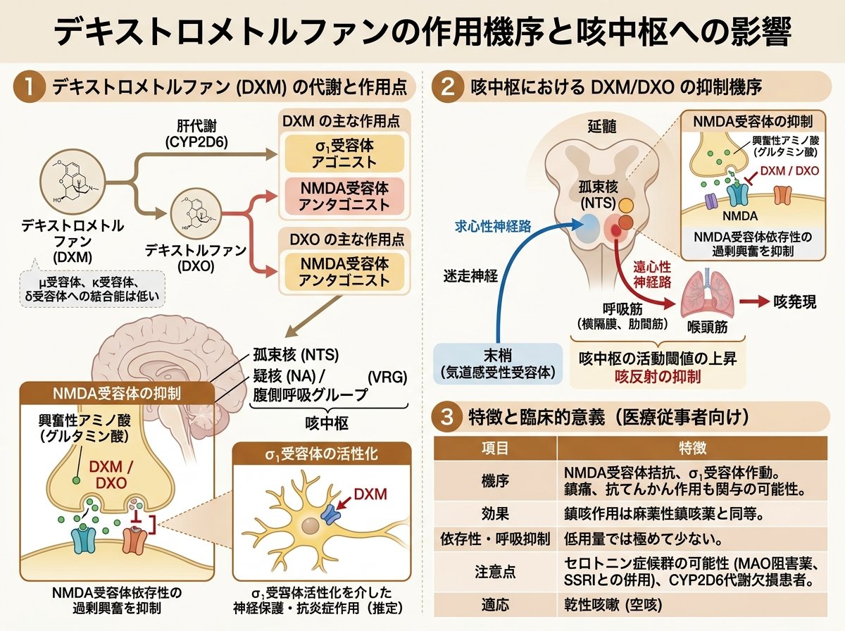 デキストロメトルファンの作用機序と咳中枢への影響