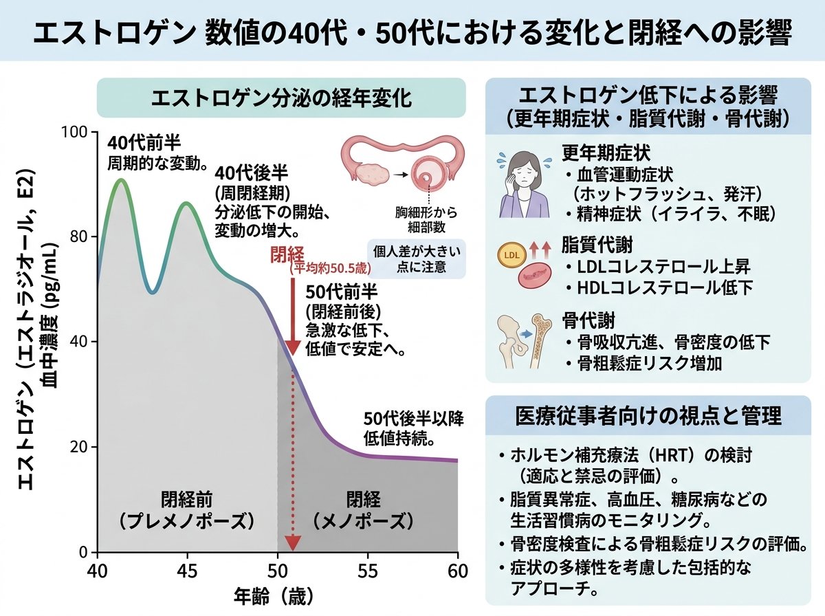 エストロゲン 数値の40代・50代における変化と閉経への影響