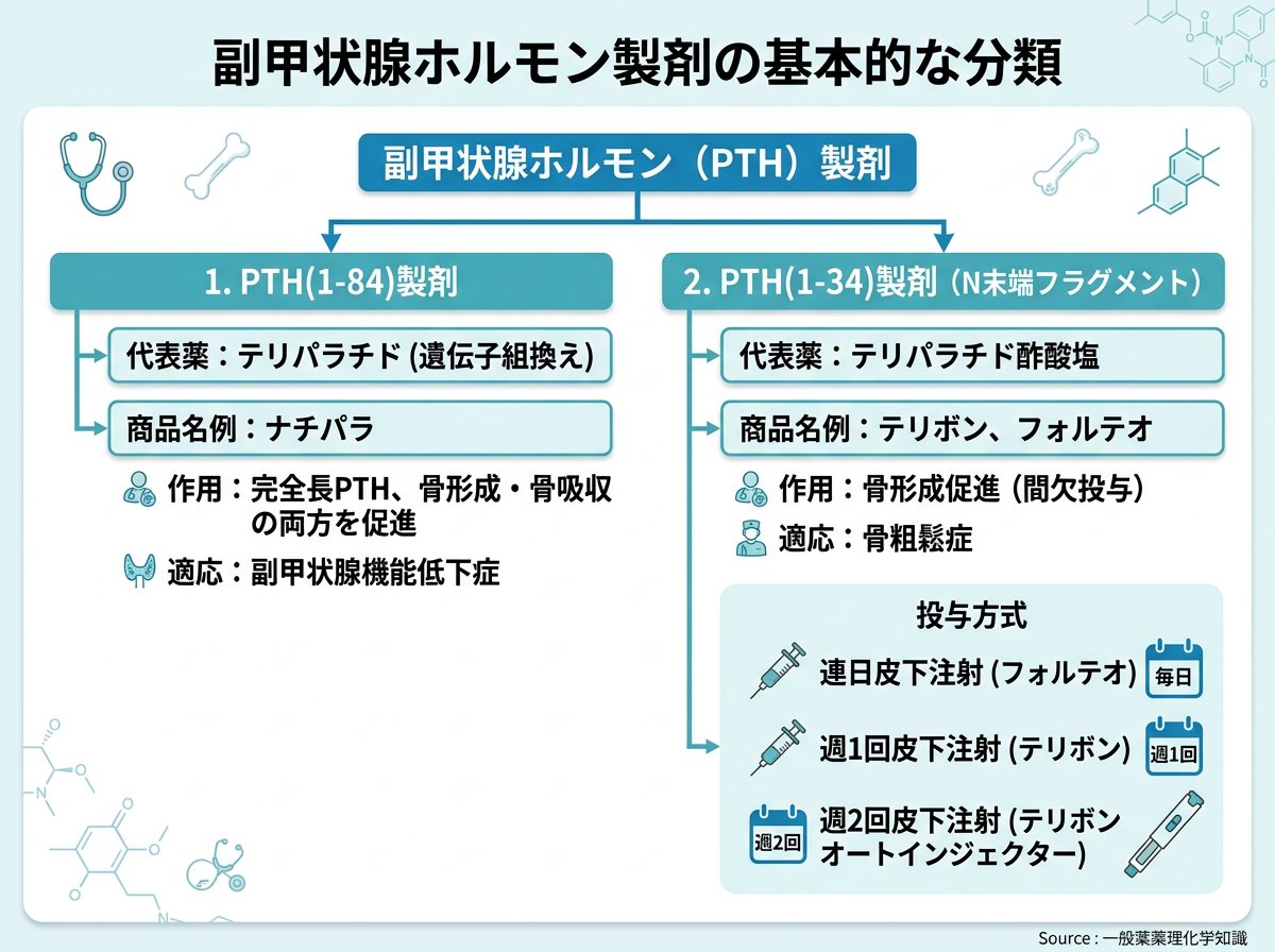 副甲状腺ホルモン製剤の基本的な分類