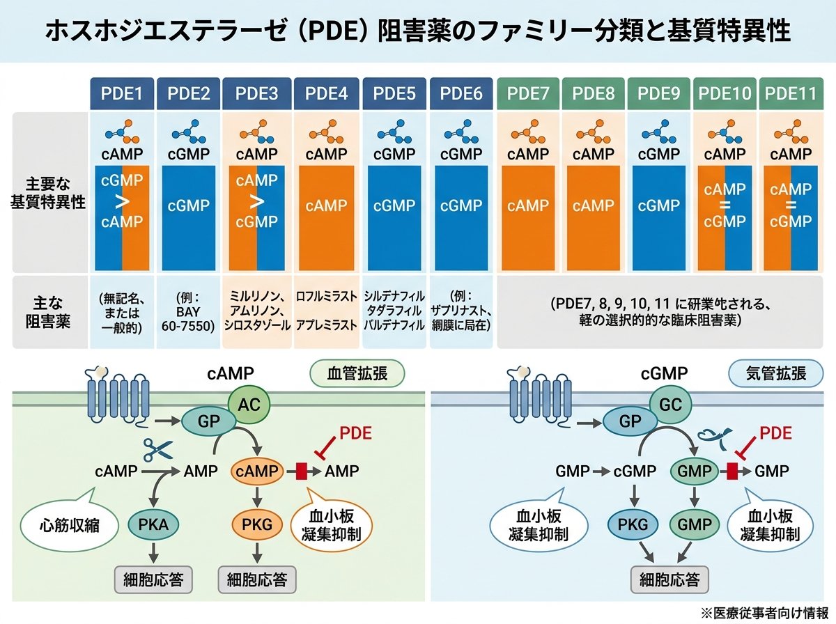 ホスホジエステラーゼ阻害薬のファミリー分類と基質特異性