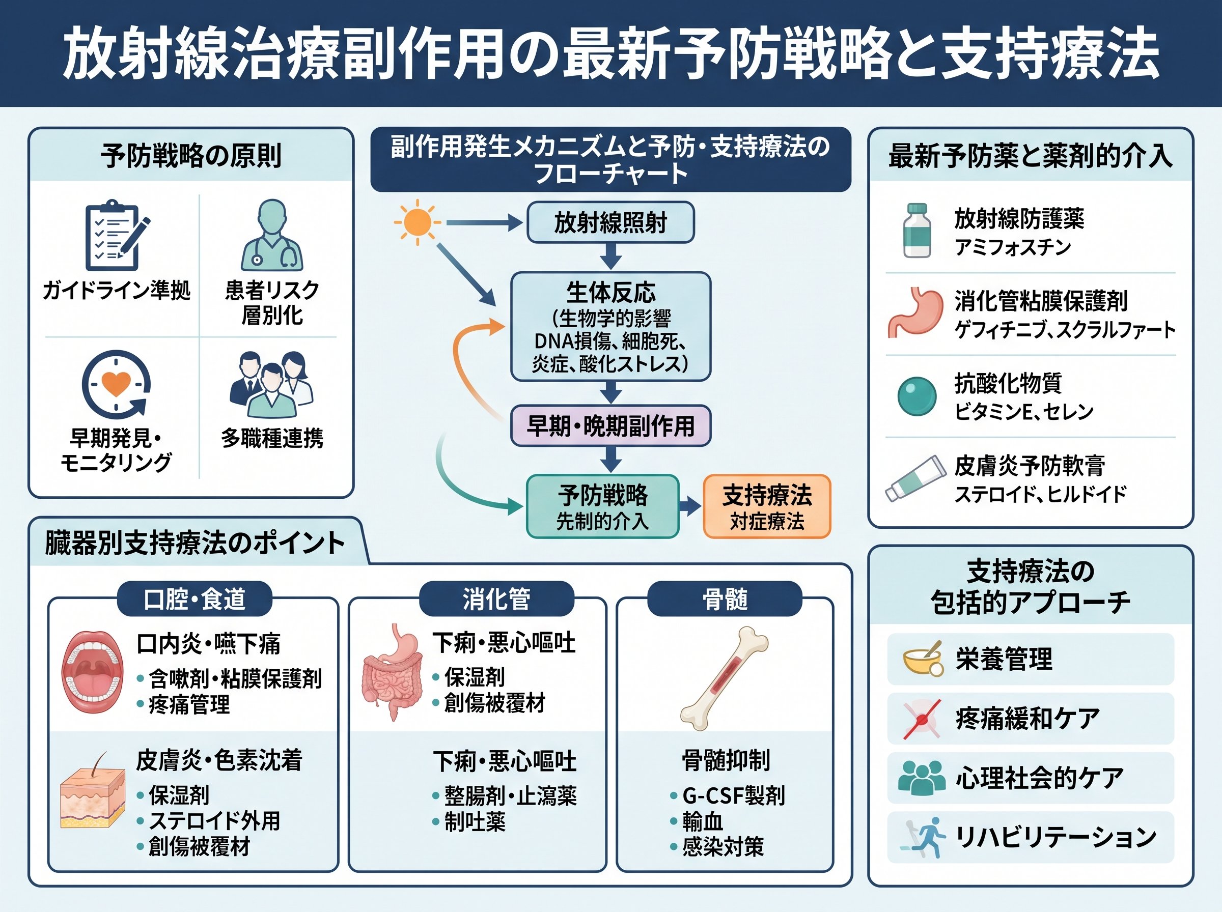 放射線治療副作用の最新予防戦略と支持療法