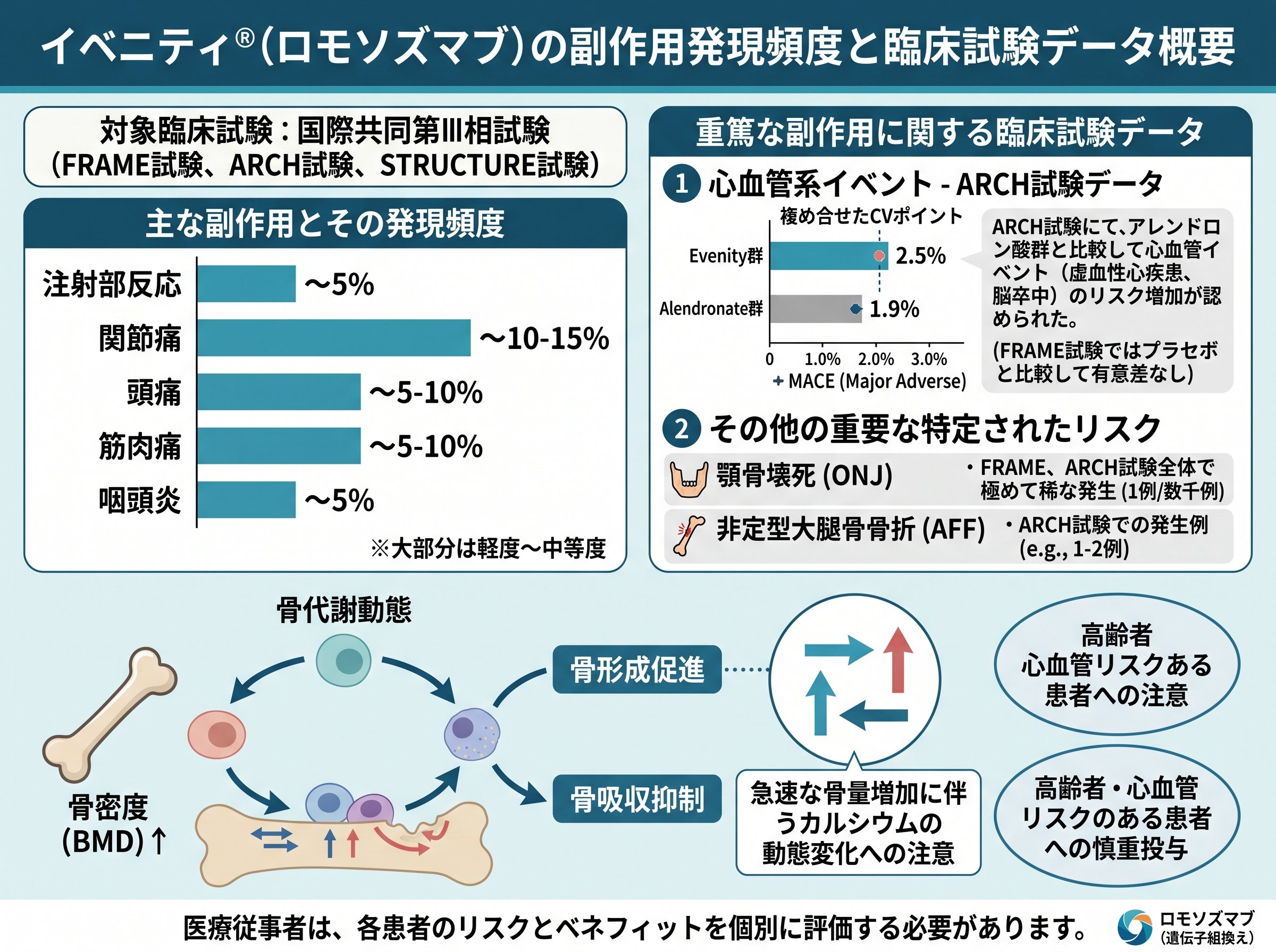 イベニティ副作用の発現頻度と臨床試験データ