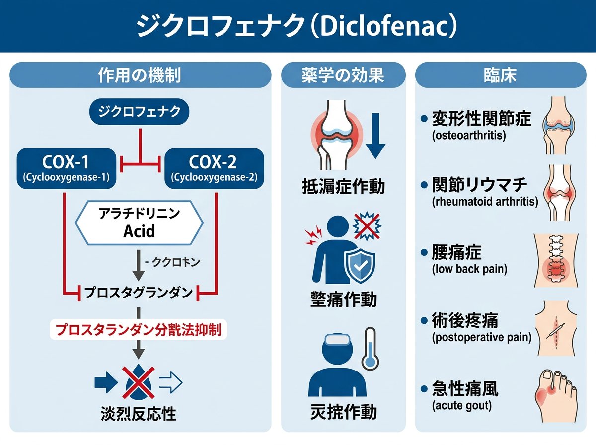 ジクロフェナクの作用機序と適応疾患