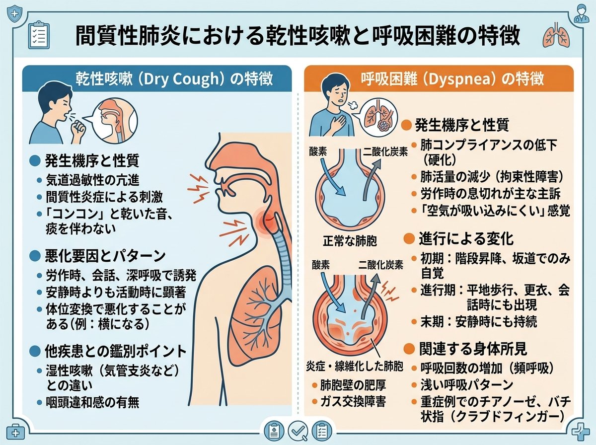 間質性肺炎における乾性咳嗽と呼吸困難の特徴