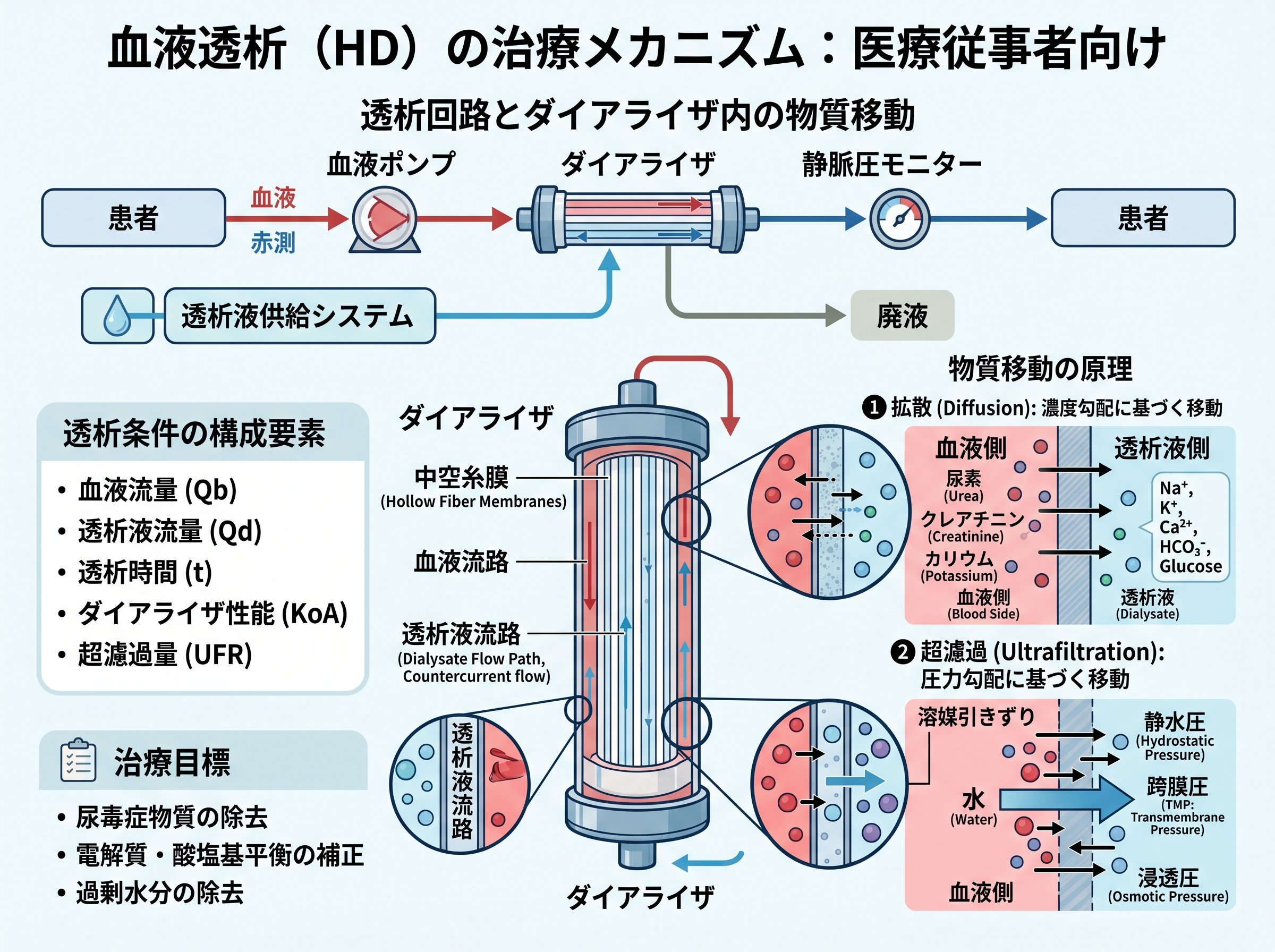 血液透析の治療メカニズム