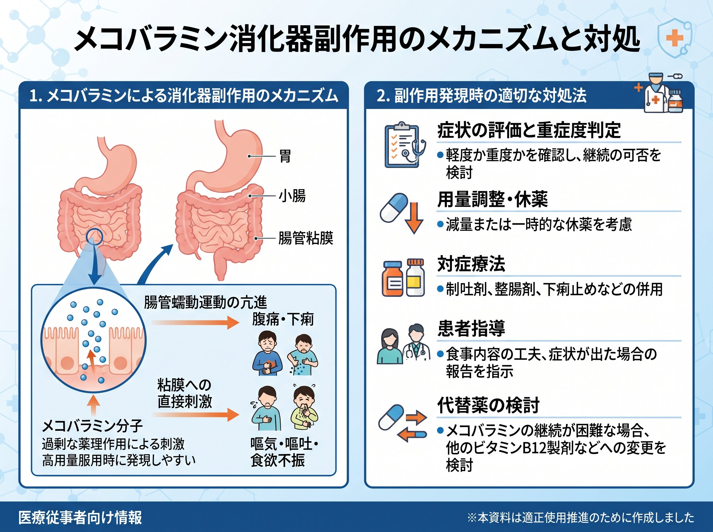 メコバラミン消化器副作用のメカニズムと対処
