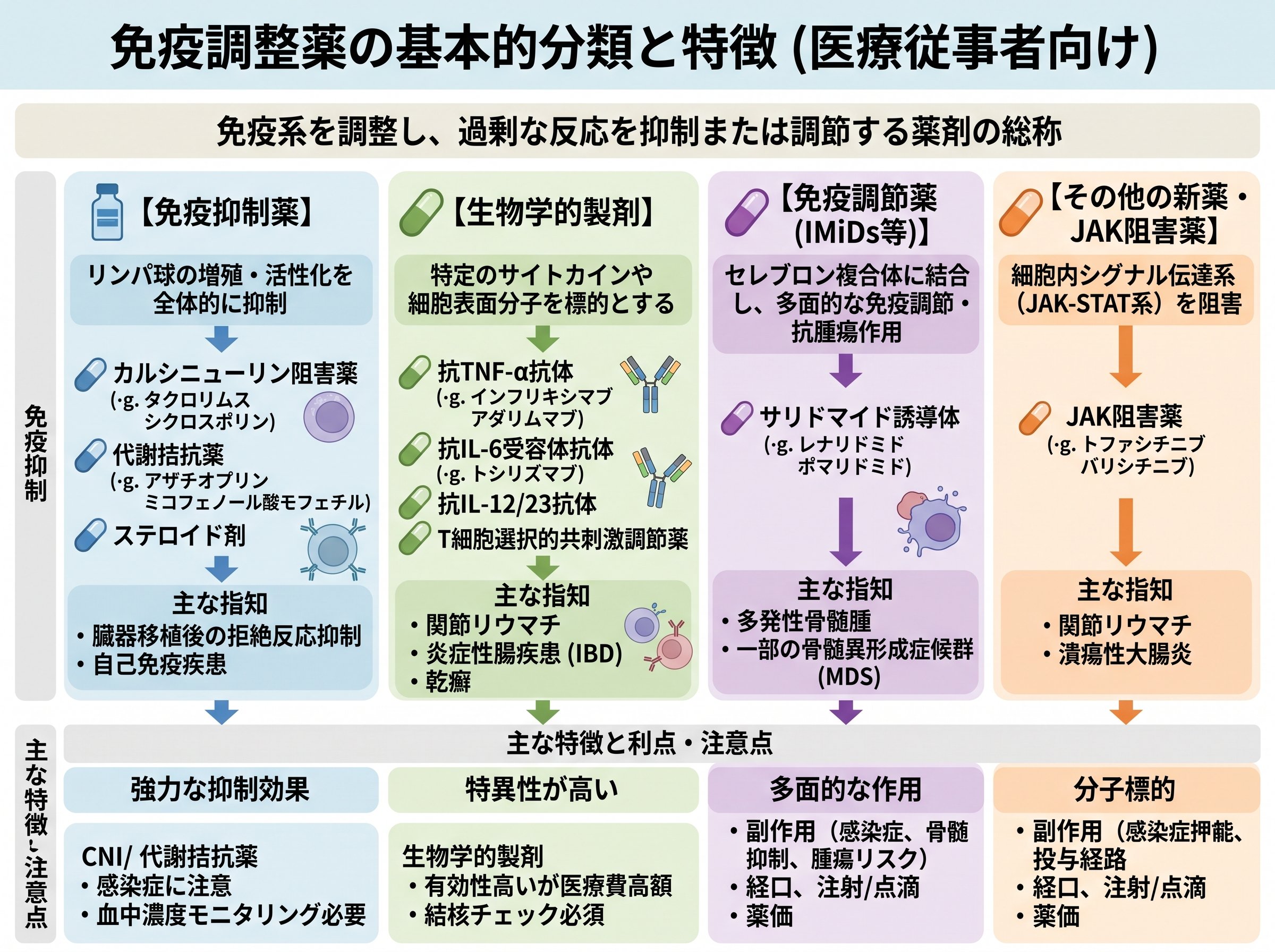 免疫調整薬の基本的分類と特徴