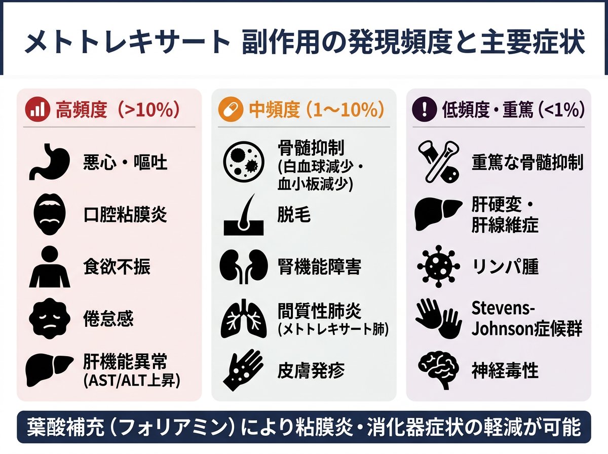 メトトレキサート副作用の発現頻度と主要症状