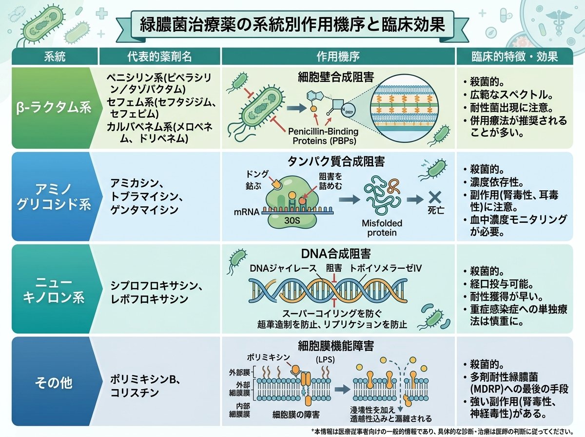 緑膿菌治療薬の系統別作用機序と臨床効果