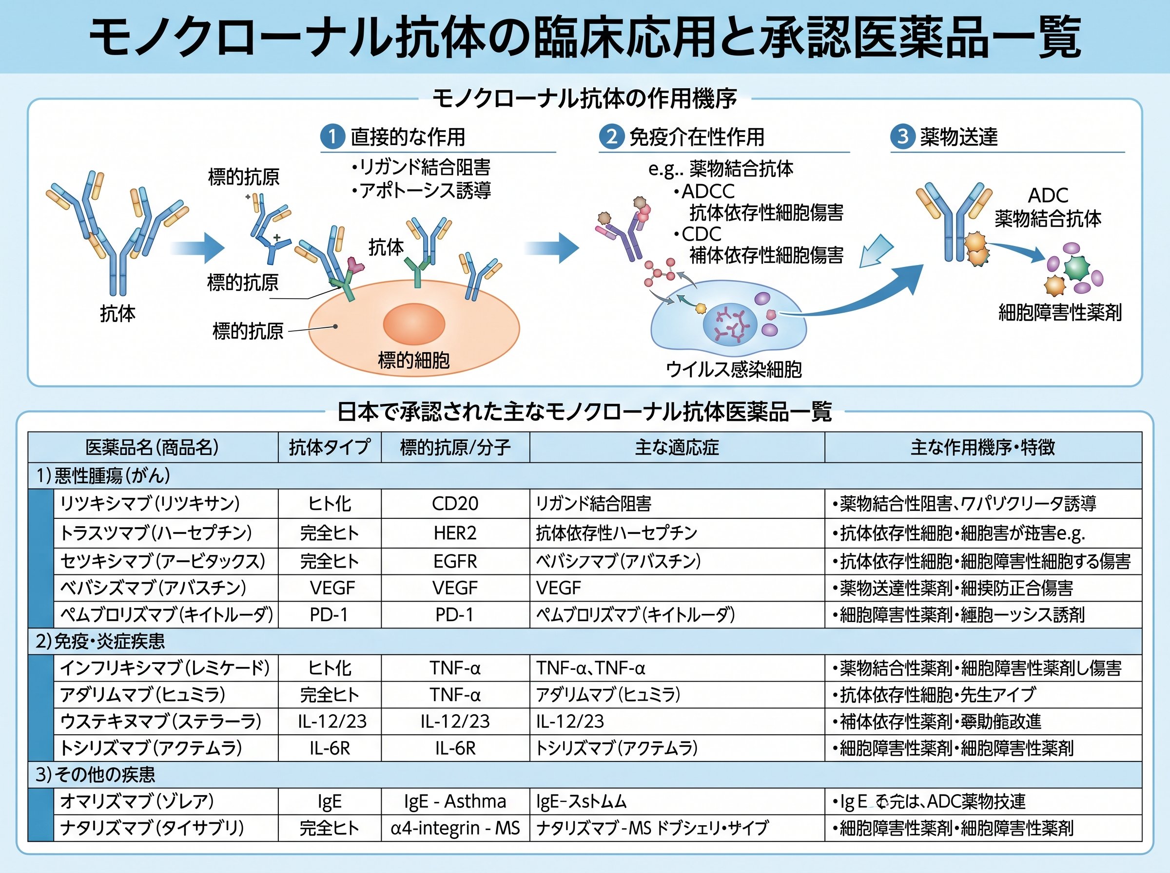 モノクローナル抗体の臨床応用と承認医薬品一覧