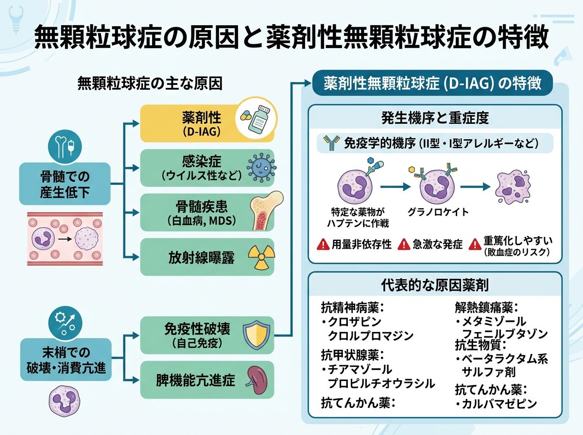 無顆粒球症の原因と薬剤性無顆粒球症の特徴