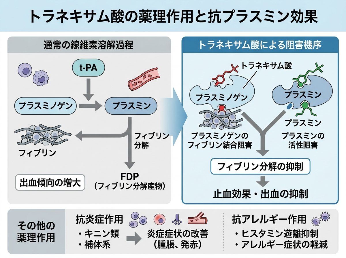 トラネキサム酸の薬理作用と抗プラスミン効果