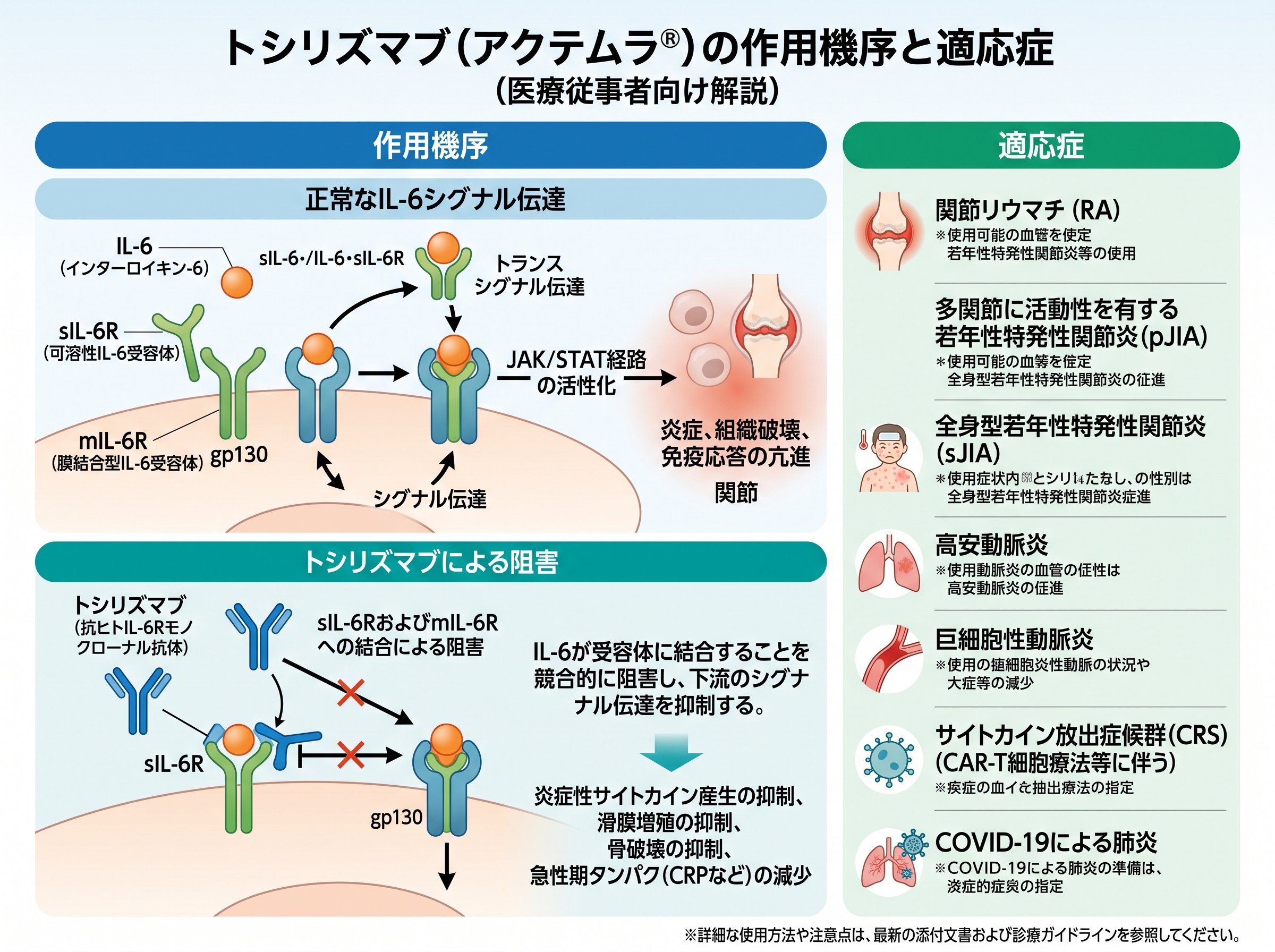 トシリズマブの作用機序と適応症