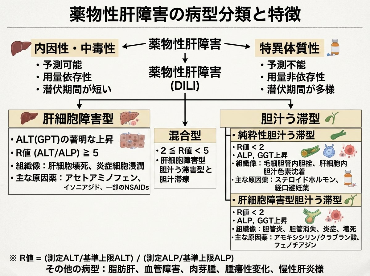 薬物性肝障害の病型分類と特徴
